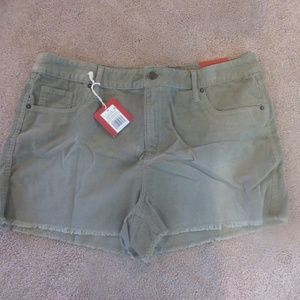 Mossimo High Rise Green Size 16 Shorts